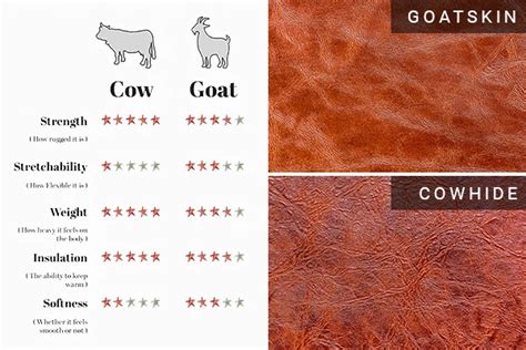 goatskin vs cowhide bible.